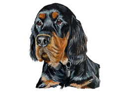 Raj Hundal: Contemporary and Pet Portrait Artist