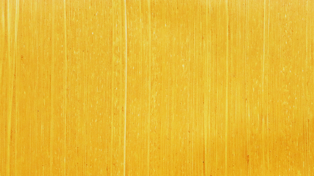 Michael Harding Oil Paints - Turner's Yellow