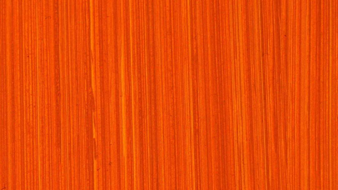 Michael Harding Oil Paints - Brilliant Orange