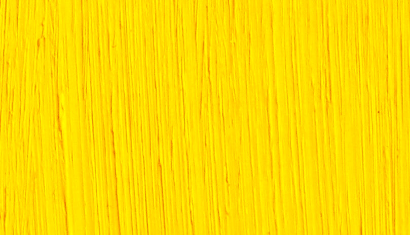 Michael Harding Oil Paints - Cadmium Yellow