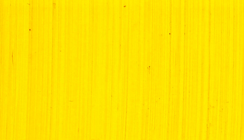 Michael Harding Oil Paints - Bright Yellow Lake