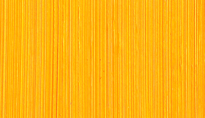 Michael Harding Oil Paints - Cadmium Golden Yellow