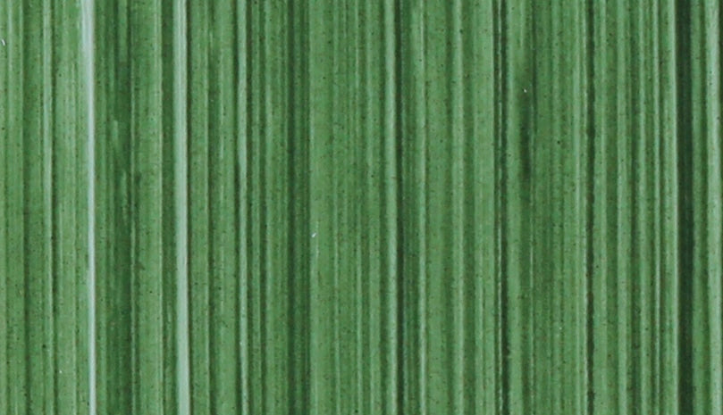 Michael Harding Oil Paints - Terre Verte