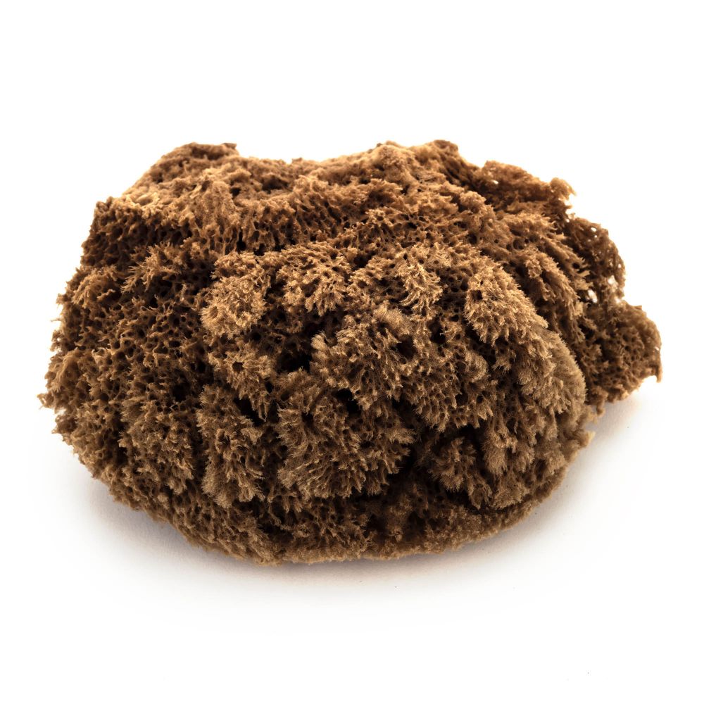 Artists Natural Wool Sponge
