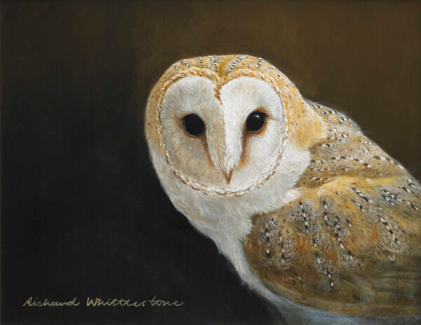 Richard Whittlestone: Wildlife Artist