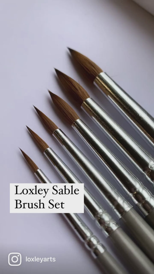 Loxley Pure Sable Series 585 Set of 6